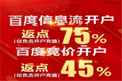 某电商平台信息流广告运营实战案例
